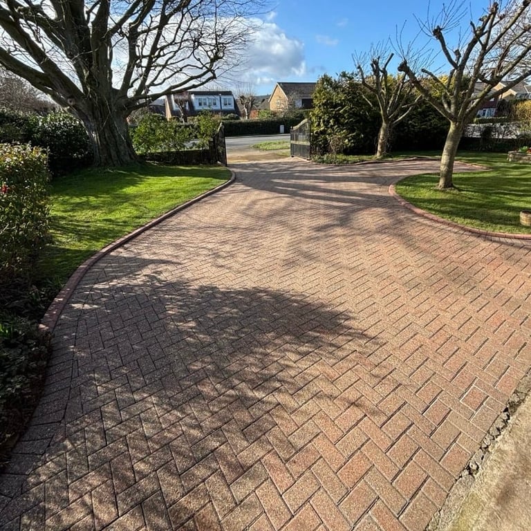 Brick driveway with trees leading to residential homes